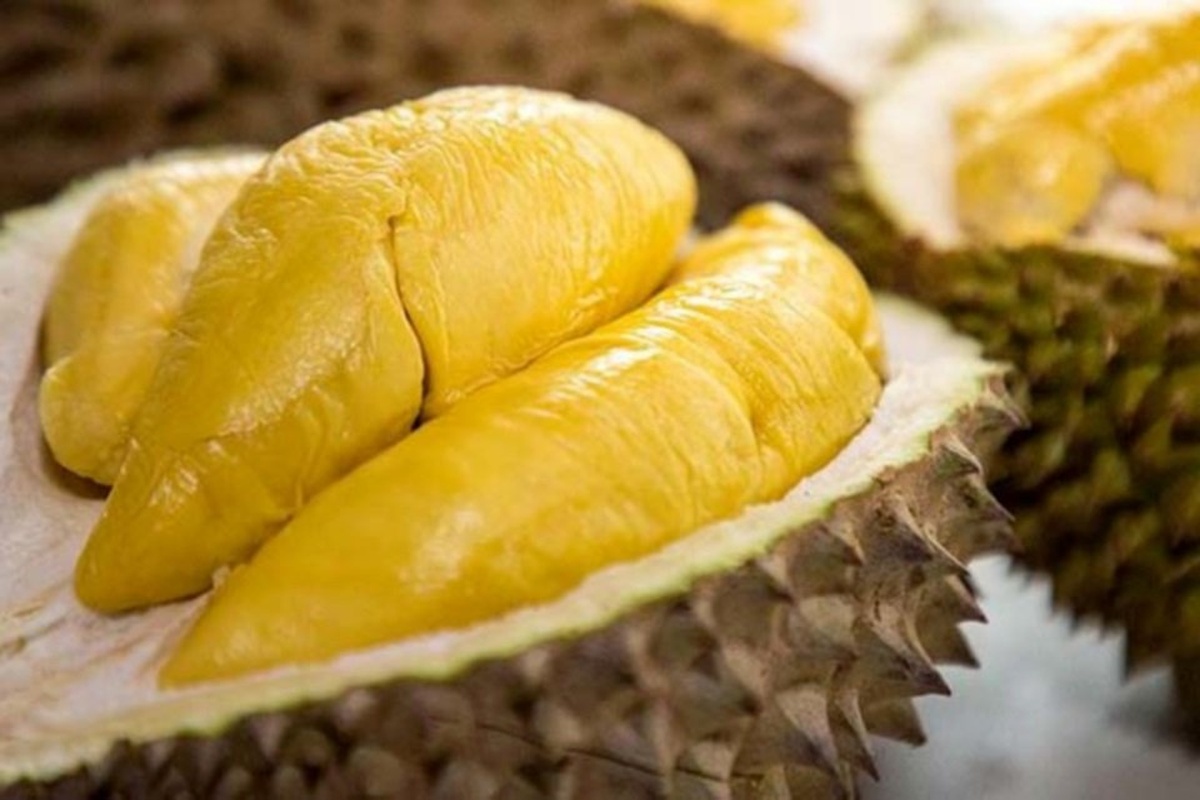 Best Musang King Durian Delivery In Klang Valley Malaysia