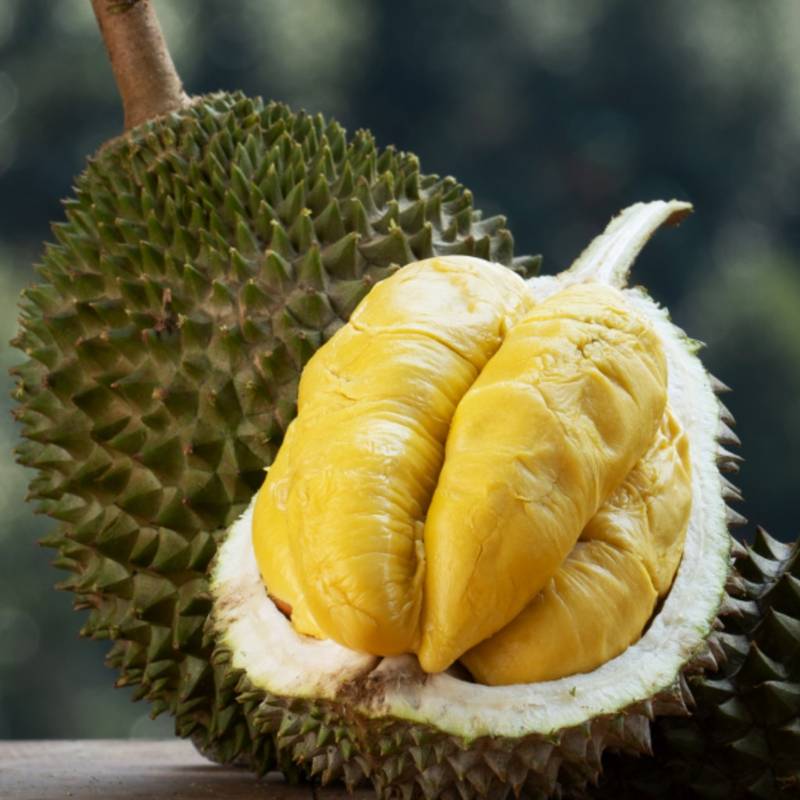 D24 durian premium yellow flesh Malaysia fresh delivery