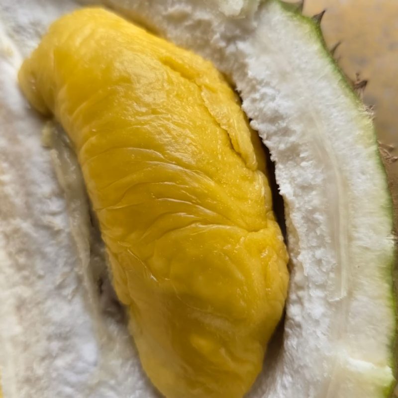 D24 durian Malaysia creamy bittersweet