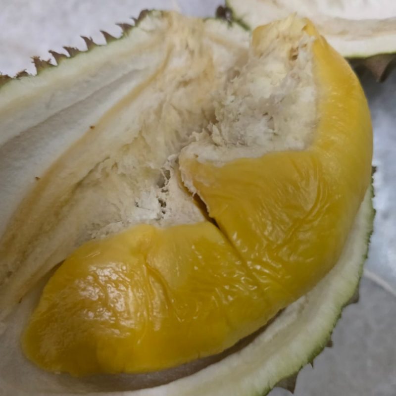 Musang King durian opened yellow flesh premium Malaysia